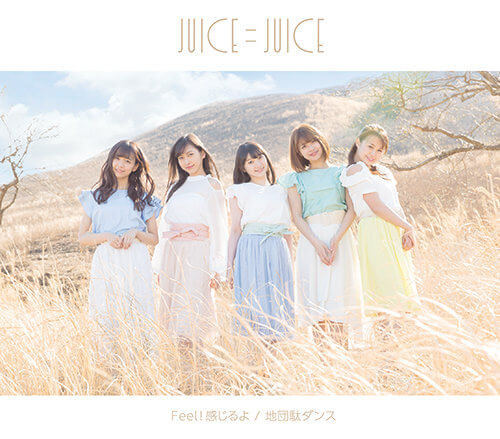 Juice=Juice Jidanda Dance Cover Regular B