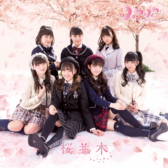 fuwafuwa sakura namiki cover cherry