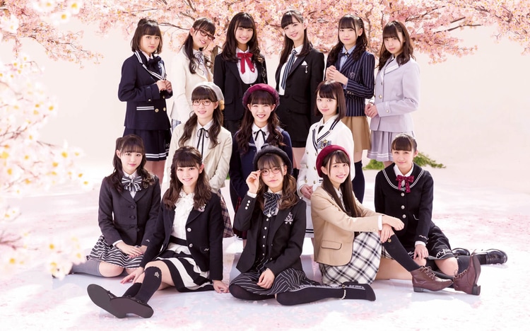 fuwafuwa sakura namiki