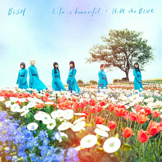 bish life is beautiful hide the blue cover regular