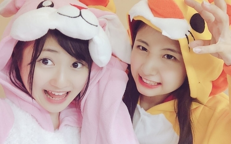 devil anthem bunny lion