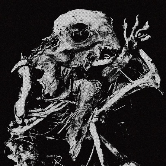 bis2nd against the pain cover regular