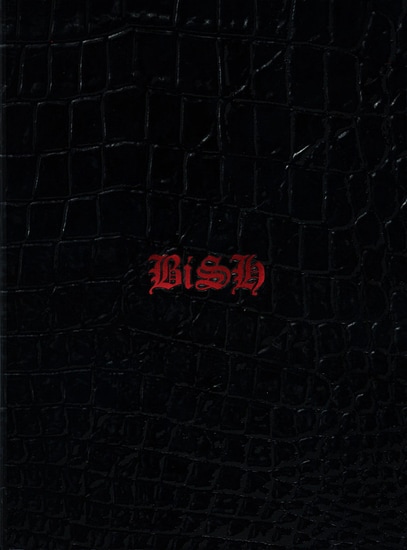 bish stereo future cover limited